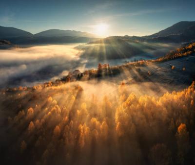 Glen Dehn